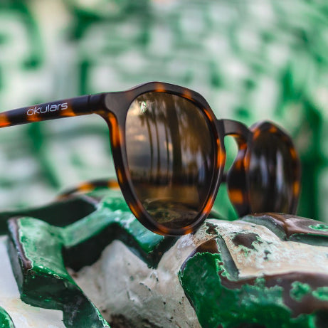 Ekologiset Aurinkolasit