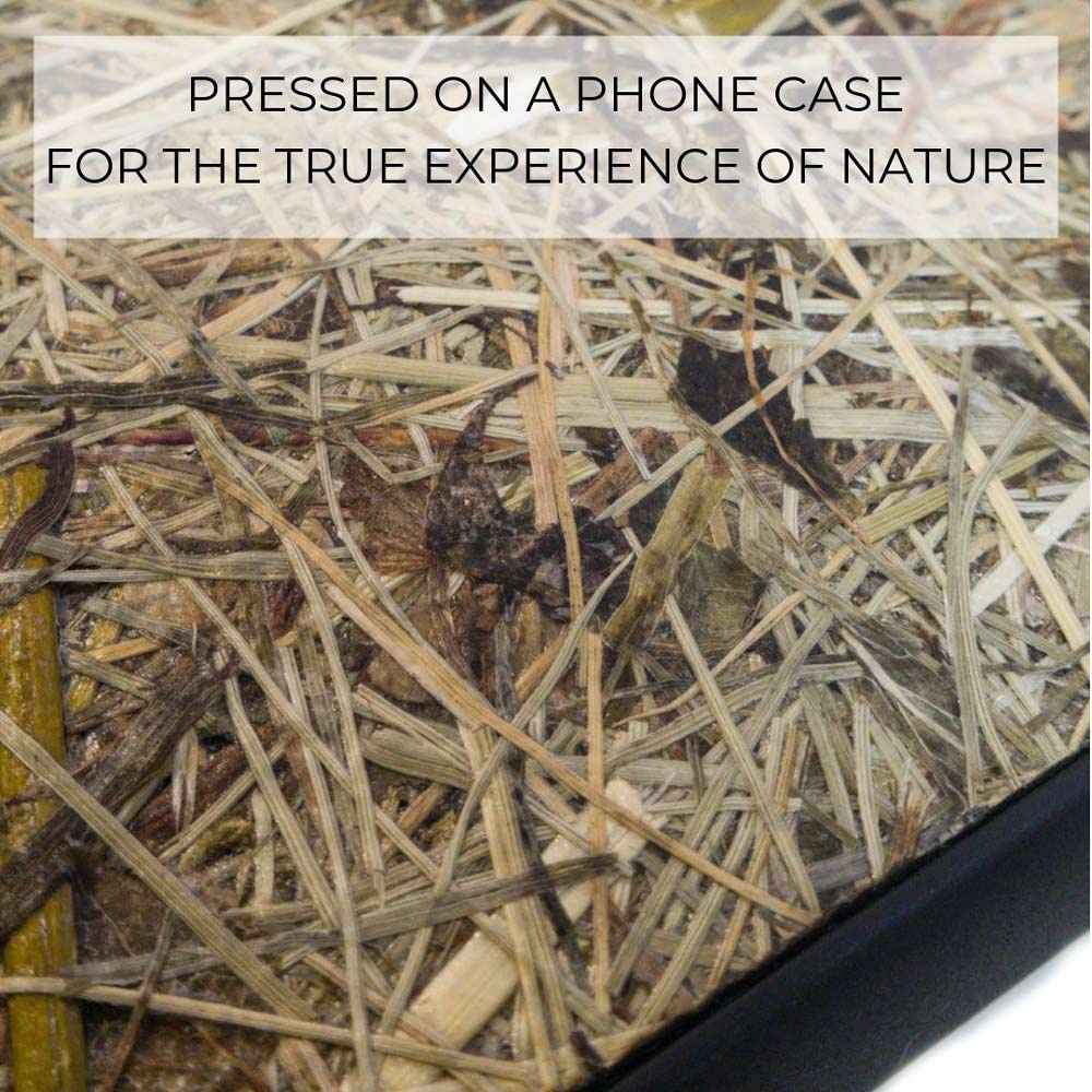 Organic Case - Alpine Hay - Suojakuori