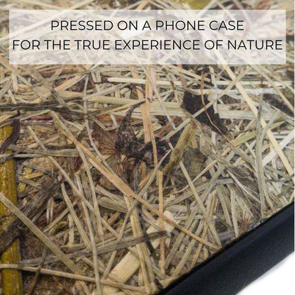 Organic Case - Alpine Hay - Suojakuori