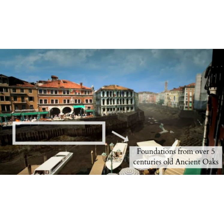 Tammipuinen Puhelimen Suojakuori - Venice II MMore - Wood Collection