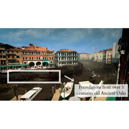 Tammipuinen Puhelimen Suojakuori - Venice II MMore - Wood Collection