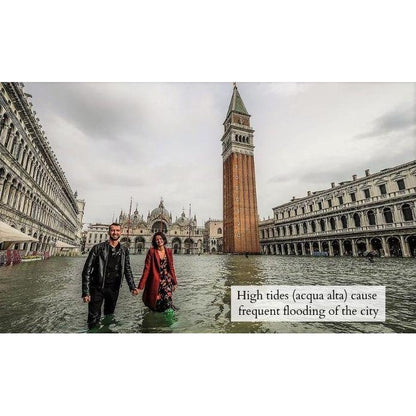 Tammipuinen Puhelimen Suojakuori - Venice MMore - Wood Collection