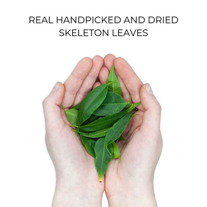 Organic Case - Skeleton Leaves