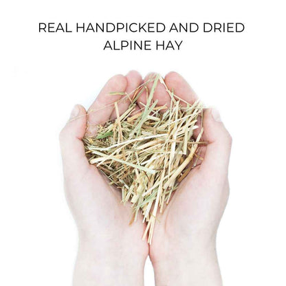 Organic Case - Alpine Hay - Suojakuori