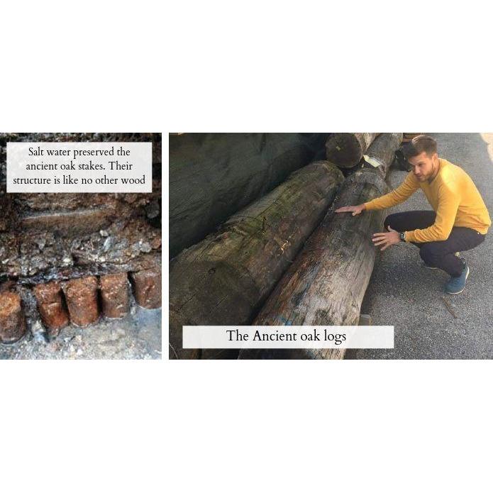 Tammipuinen Puhelimen Suojakuori - Venice MMore - Wood Collection